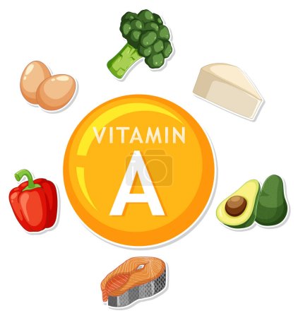 Illustration for Illustration of nutrient-rich foods with vitamin A for a healthy lifestyle - Royalty Free Image
