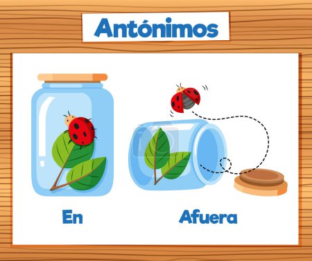 Illustration for Illustrated word card featuring antonyms in Spanish: En and Afuera - Royalty Free Image