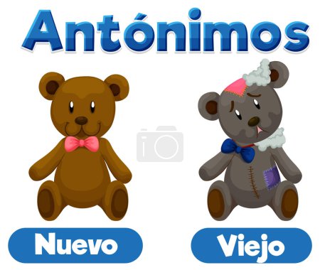 Illustration for Illustrated word card in Spanish featuring antonyms Nuevo and Viejo - Royalty Free Image