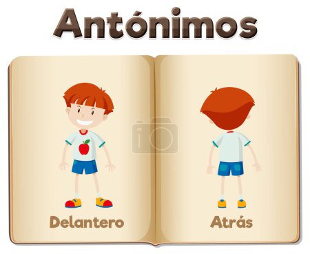 Illustration for Illustrated word card featuring antonyms in Spanish - Royalty Free Image