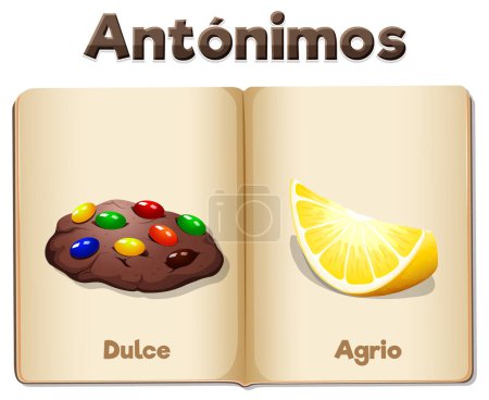 Téléchargez les illustrations : Illustration vectorielle colorée de la carte de mot antonyme espagnol - en licence libre de droit