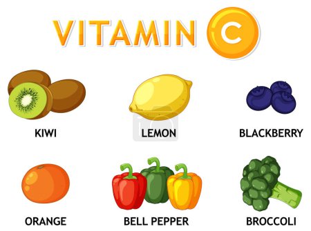 Téléchargez les illustrations : Illustration d'aliments riches en vitamine C dans un style de dessin animé vectoriel - en licence libre de droit