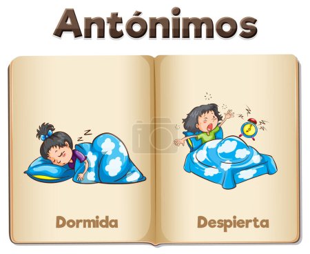 Illustration for Colorful vector illustration of antonym word card in Spanish language - Royalty Free Image