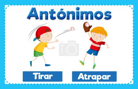 Illustration for Illustrated word card with antonyms in Spanish language means to throw and to catch - Royalty Free Image
