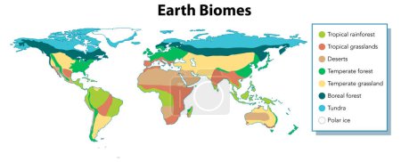 Ilustración de Un mapa ilustrado del mundo que muestra diversos biomas a través de colores vibrantes - Imagen libre de derechos