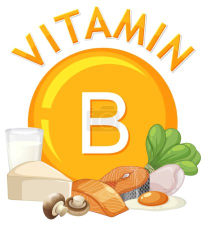 Téléchargez les illustrations : Illustration d'aliments riches en vitamine B dans un style de dessin animé vectoriel - en licence libre de droit