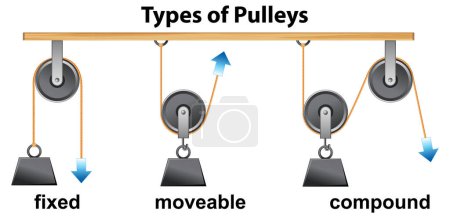 Illustrated diagram showcasing various types of pulleys