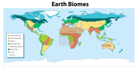 Téléchargez les illustrations : Illustration d'une carte du monde divisée en différents biomes utilisant des couleurs vives - en licence libre de droit