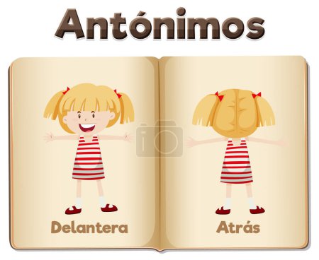 Illustration for Illustrated word card featuring antonyms in Spanish language means front and back - Royalty Free Image