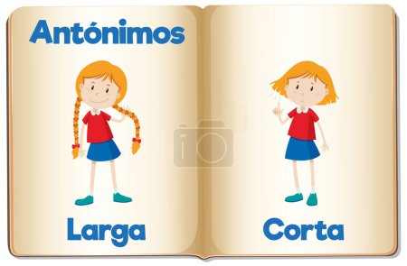 Illustration for Illustrated word cards in Spanish teaching the concepts of long and short - Royalty Free Image