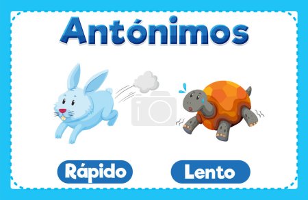 Illustration for A vector cartoon illustration of antonyms 'Rapido' and 'Lento' in Spanish language means fast and slow - Royalty Free Image