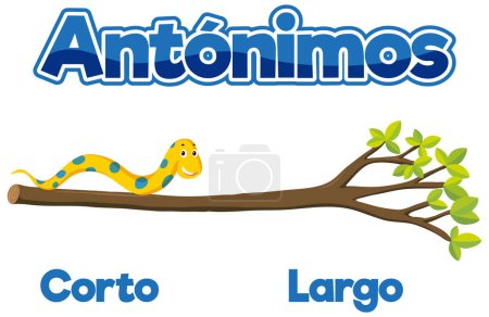 Ilustración de Tarjetas ilustradas en español para enseñar los antónimos 'corto' (corto) y 'largo' (largo)) - Imagen libre de derechos