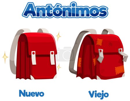 Illustration for A vector cartoon illustration depicting the Spanish words for new and old in education - Royalty Free Image