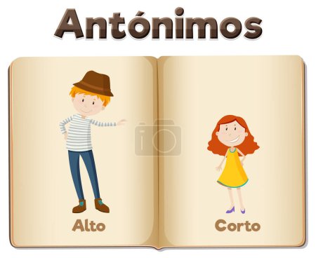 Illustration for Colorful vector illustration of Spanish antonyms, Alto and Corto means tall and short - Royalty Free Image
