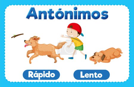 Illustration for A vector cartoon illustration depicting the antonyms 'Rapido' and 'Lento' in Spanish, meaning 'Fast' and 'Slow' - Royalty Free Image
