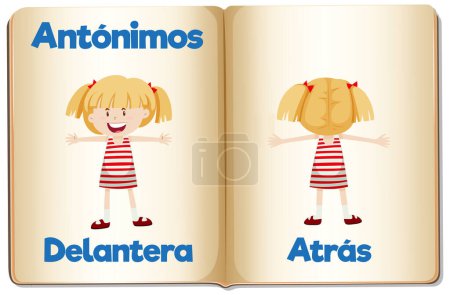 Illustration for Colorful vector illustration of Spanish antonyms means front and back - Royalty Free Image