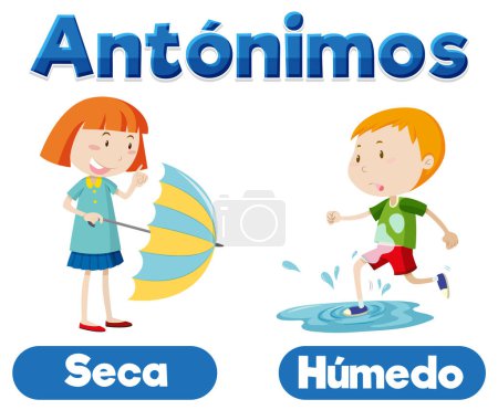 Illustration for Illustrated word card in Spanish showing the antonyms dry and wet - Royalty Free Image