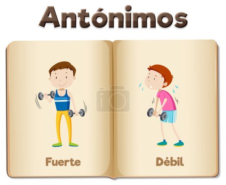 Téléchargez les illustrations : Cartes illustrées en espagnol pour enseigner les antonymes fort et faible - en licence libre de droit