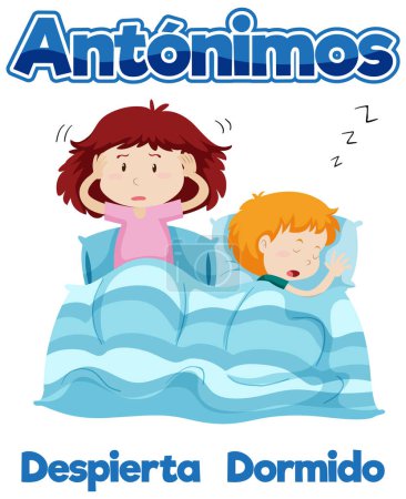 Illustration for A vector cartoon illustration depicting the Spanish words for awake and asleep in an educational context - Royalty Free Image