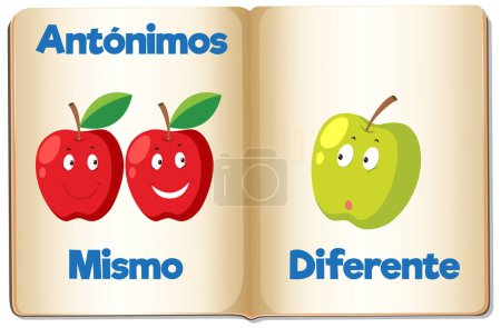 Illustration for Illustrated card in Spanish depicting the concepts of same and different - Royalty Free Image