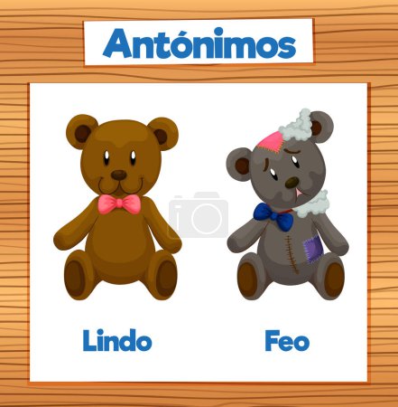Illustration for Colorful vector illustration of antonym word card in Spanish means nice and ugly - Royalty Free Image