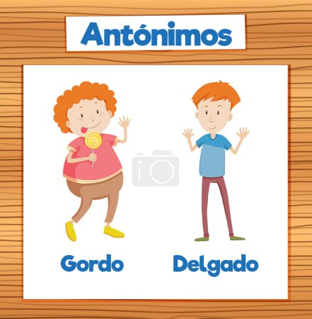 Ilustración de Ilustrado imagen palabra tarjeta enseñanza gorda y delgada en español - Imagen libre de derechos