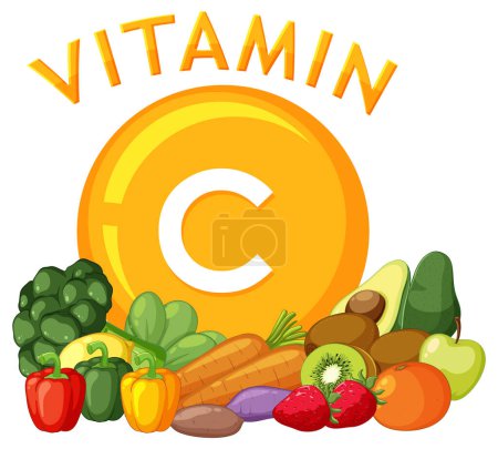 Téléchargez les illustrations : Illustration vectorielle colorée présentant des aliments riches en vitamine C pour une alimentation saine - en licence libre de droit