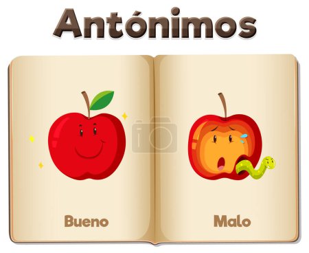 Illustration for Illustrated word card in Spanish featuring antonyms Bueno and Malo means good and bad - Royalty Free Image