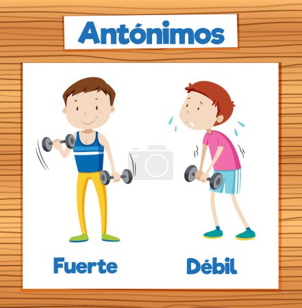 Illustration for Illustrated picture word card for learning antonyms in Spanish - Royalty Free Image