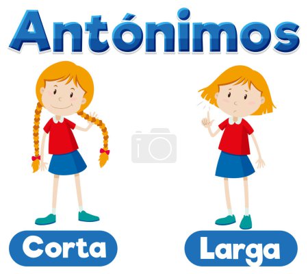 Illustration for An illustrated card in Spanish depicting the antonyms 'Corta' and 'Larga' meaning 'Short' and 'Long' - Royalty Free Image