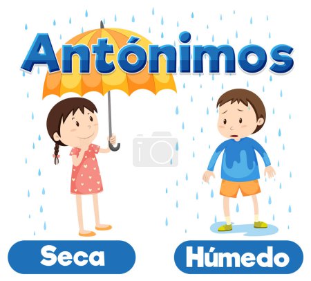 Illustration for Colorful vector illustration of Spanish antonym word card means dry and wet - Royalty Free Image
