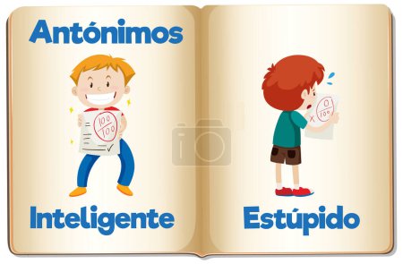 Illustration for Illustrated word cards in Spanish for intelligent and stupid - Royalty Free Image