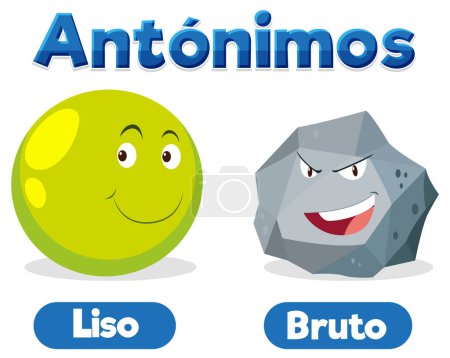Illustration for Illustrated picture word card in Spanish for smooth and rough education antonyms - Royalty Free Image