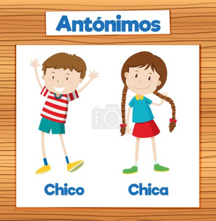 Illustration for Illustrated word cards depicting antonyms for education in Spanish - Royalty Free Image