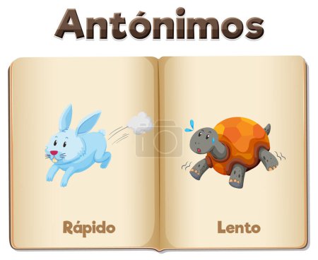 Illustration for A vector cartoon illustration of antonyms 'Rapido' and 'Lento' in Spanish means fast and slow - Royalty Free Image