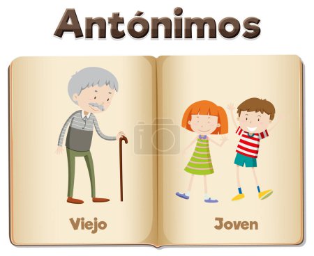 Téléchargez les illustrations : Illustrated picture word card teaching Espagnol antonymes Jeunes et Vieux - en licence libre de droit