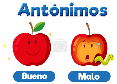Illustration for Illustrated word card featuring antonyms in Spanish language means good and bad - Royalty Free Image