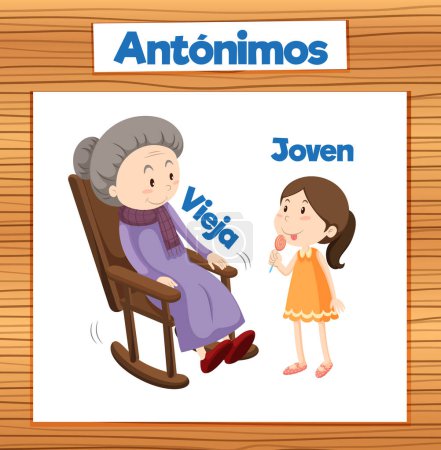 Illustration for Colorful vector illustration of Spanish word card featuring antonyms Vieja and Joven means old and young - Royalty Free Image