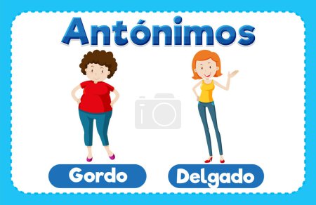 Illustration for Illustrated picture word card teaching antonyms in Spanish means Fat and Slim - Royalty Free Image