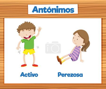 Illustration for A vector cartoon illustration depicting the antonyms 'Activo' and 'Perezosa' in Spanish language education - Royalty Free Image