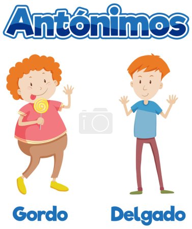 Illustration for Illustrated picture word card teaching antonyms in Spanish slim and fat - Royalty Free Image