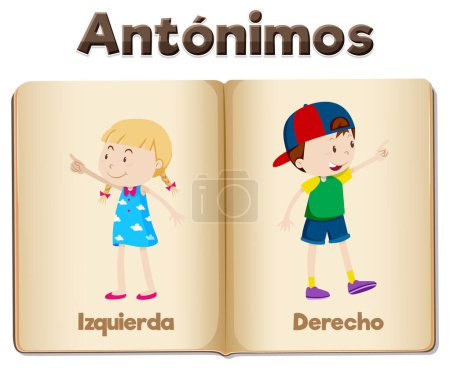 Illustration for Vector cartoon illustration of Spanish antonyms Izquierda and Derecho means left and right - Royalty Free Image