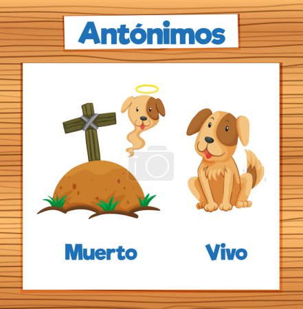 Illustration for A vector cartoon illustration depicting the antonyms 'Muerto' and 'Vivo' in Spanish Dead and Alive - Royalty Free Image