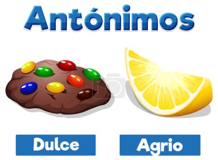 Illustration for Colorful vector illustration of Spanish antonym word card means sweet and sour - Royalty Free Image