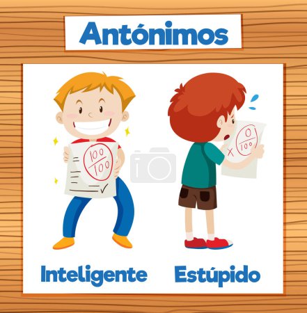 Téléchargez les illustrations : Illustration vectorielle de cartes de mots en espagnol pour 'Intelligent' et 'Stupid' - en licence libre de droit