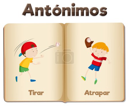 Illustration for Illustrated word card featuring antonyms Tirar and Atrapar in Spanish means to throw and to catch - Royalty Free Image