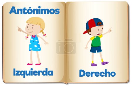 Illustration for Vector cartoon illustration of Spanish antonyms Izquierda and Derecho means left and right - Royalty Free Image