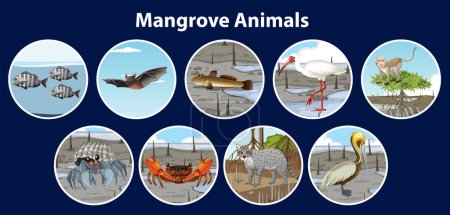 Téléchargez les illustrations : Illustration d'animaux de mangrove dans un style d'art vectoriel circulaire - en licence libre de droit