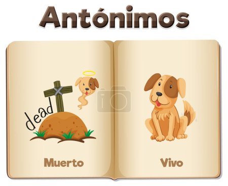 Téléchargez les illustrations : Une illustration vectorielle vibrante mettant en valeur les mots espagnols 'Muerto' et 'Vivo' sur une carte de mots - en licence libre de droit