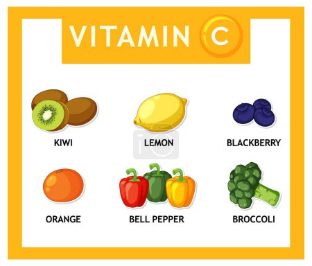 Téléchargez les illustrations : Illustration vectorielle colorée de fruits et légumes riches en vitamine C - en licence libre de droit